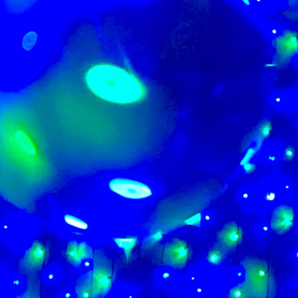 Meet your Posher, Indie